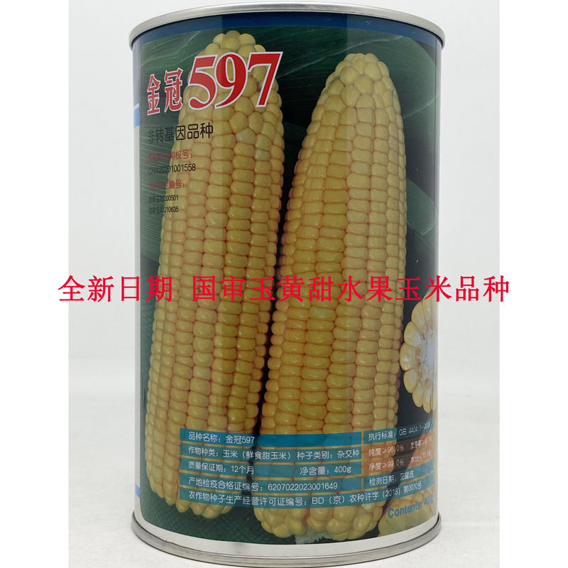 金冠597纯黄甜水果玉米种子国审大棒超甜玉米种子原装