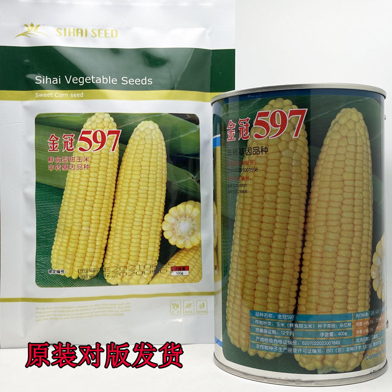 金冠597纯黄甜水果玉米种子国审大棒超甜玉米种子原装