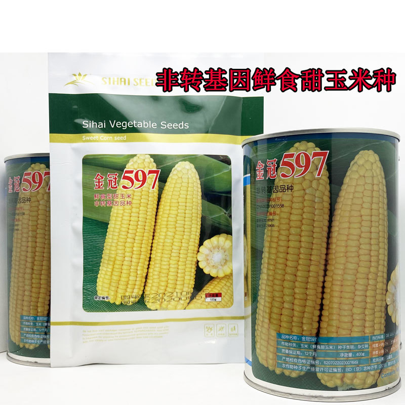 金冠597纯黄甜水果玉米种子国审大棒超甜玉米种子原装