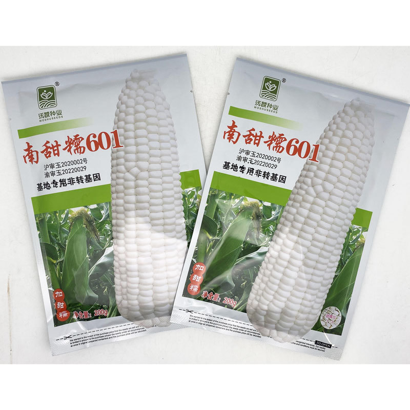 南甜糯601白甜糯玉米种子绿皮大棒加甜糯白粘糯玉米种子