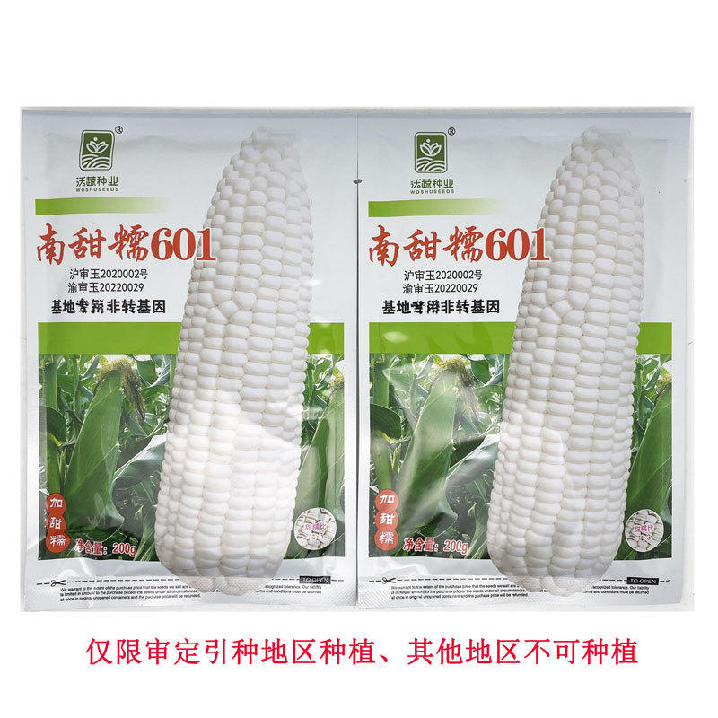 南甜糯601白甜糯玉米种子绿皮大棒加甜糯白粘糯玉米种子