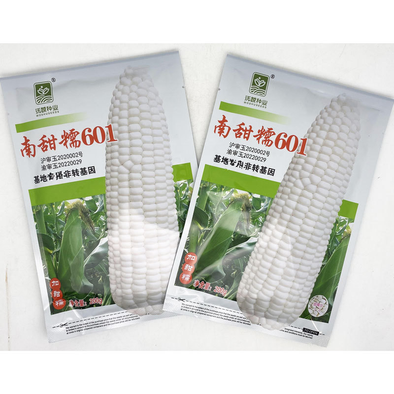 南甜糯601白甜糯玉米种子绿皮大棒加甜糯白粘糯玉米种子