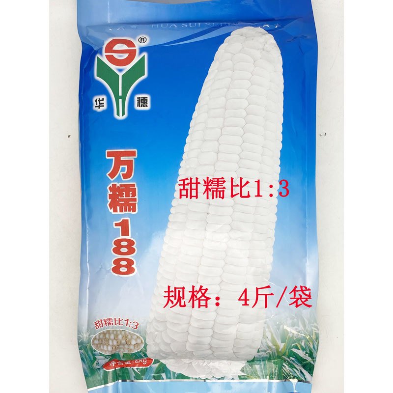 万糯2000万糯188玉米种子大棒国审加甜糯白糯玉米种子