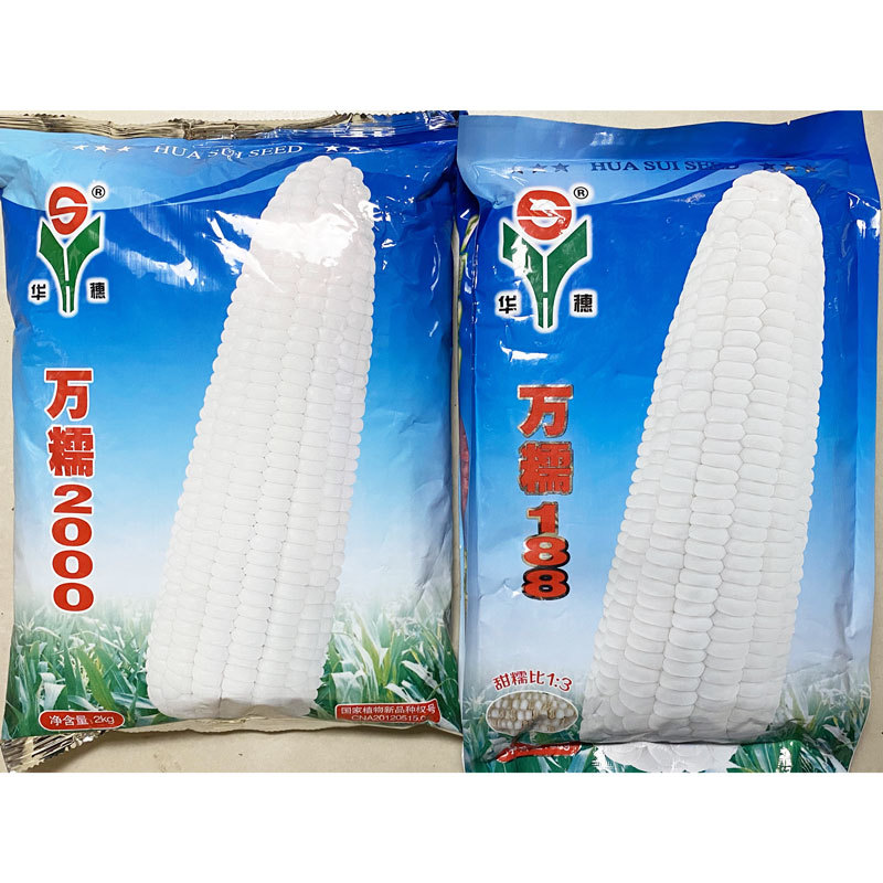 万糯2000万糯188玉米种子大棒国审加甜糯白糯玉米种子