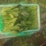 精品大叶菠菜大量上市各种规格货源电商平台市场商超