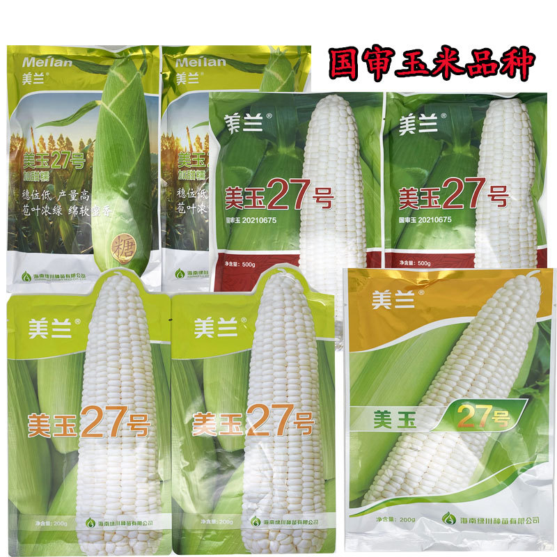 美玉27号白甜糯玉米种子矮杆大棒甜味糯玉米种原装