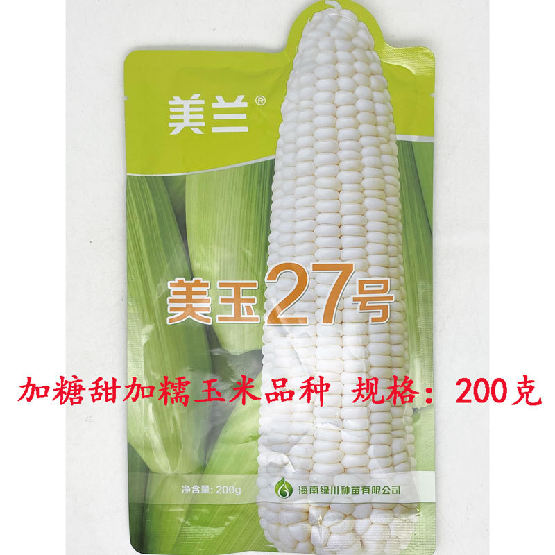 美玉27号白甜糯玉米种子矮杆大棒甜味糯玉米种原装