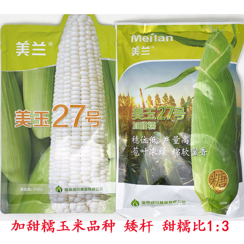 美玉27号白甜糯玉米种子矮杆大棒甜味糯玉米种原装