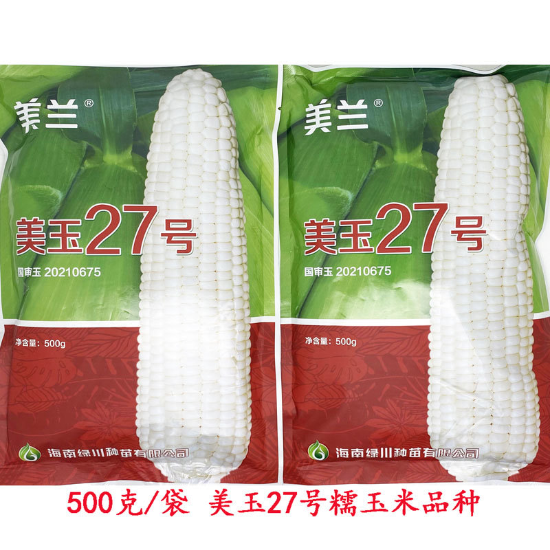 美玉27号白甜糯玉米种子矮杆大棒甜味糯玉米种原装