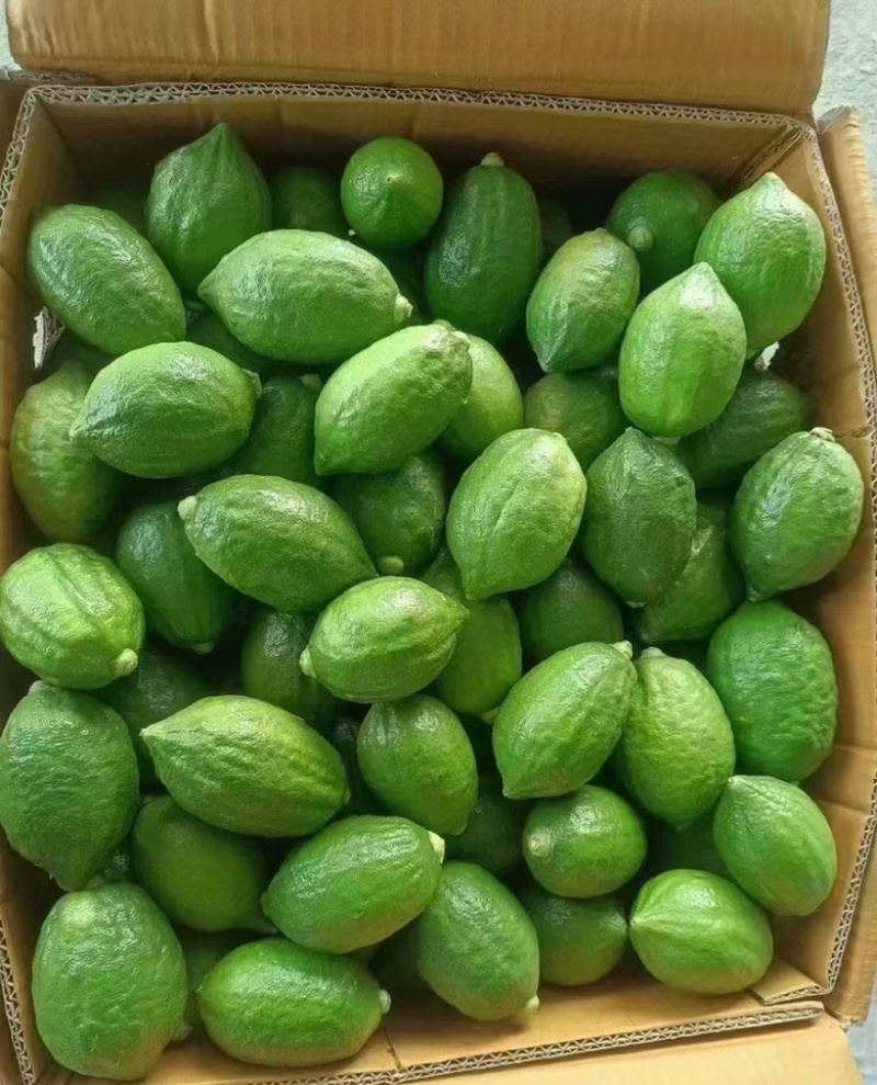 广东香水柠檬