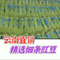 细条豇豆新鲜大量上市原产地直销，没有中间商全球发货