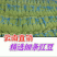 细条豇豆新鲜大量上市原产地直销，没有中间商全球发货
