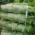 大众蔬菜，挣钱，你就约，