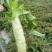 大众蔬菜，挣钱，你就约，