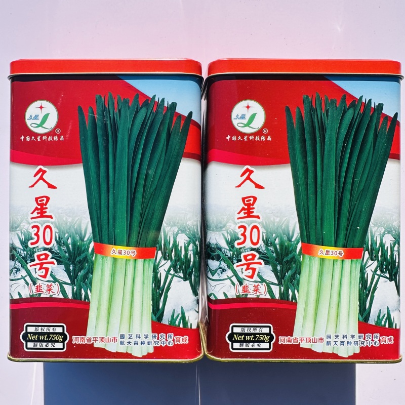 久星30号韭菜种子特耐寒优质四季韭菜种子高产抗病不休眠