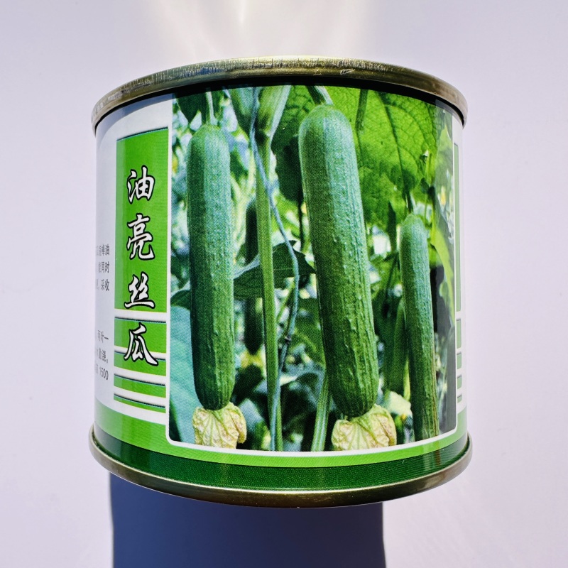 绿玲珑油亮丝瓜种子早熟短棒油亮型丝瓜种籽硬度好光滑油绿