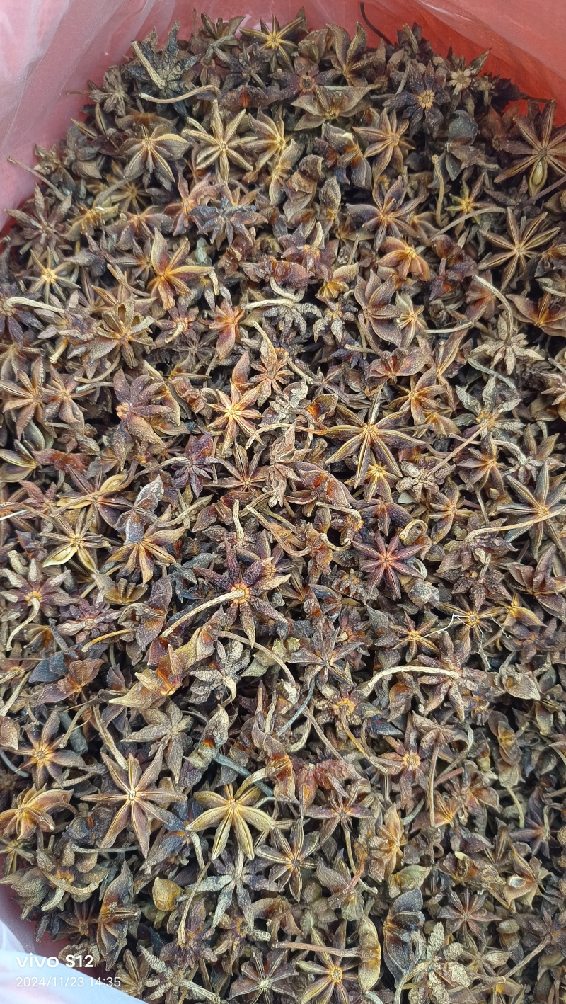 大红干枝八角，颜值高，健康果，足干过筛（适合电商货，厂家直销