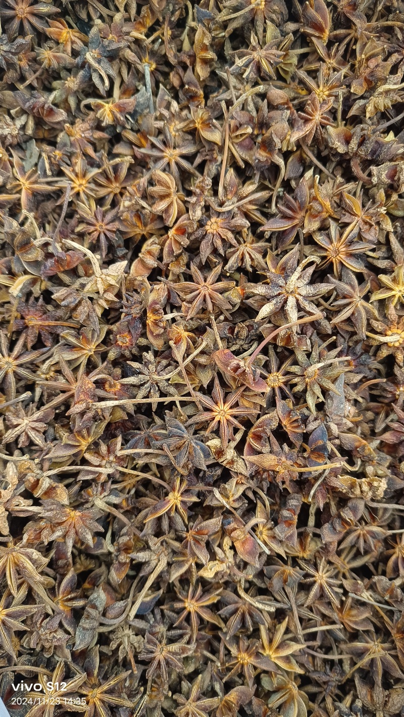 大红干枝八角，颜值高，健康果，足干过筛（适合电商货，厂家直销