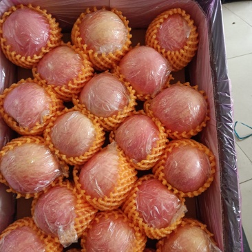 万荣纸加膜富士，香甜可口，皮薄肉厚，产地直发