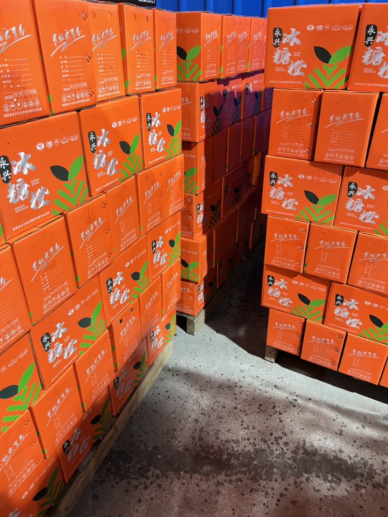 永兴冰糖橙