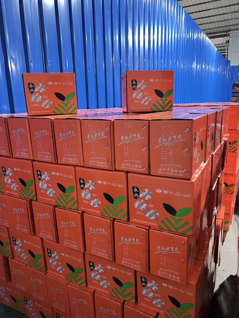 永兴冰糖橙