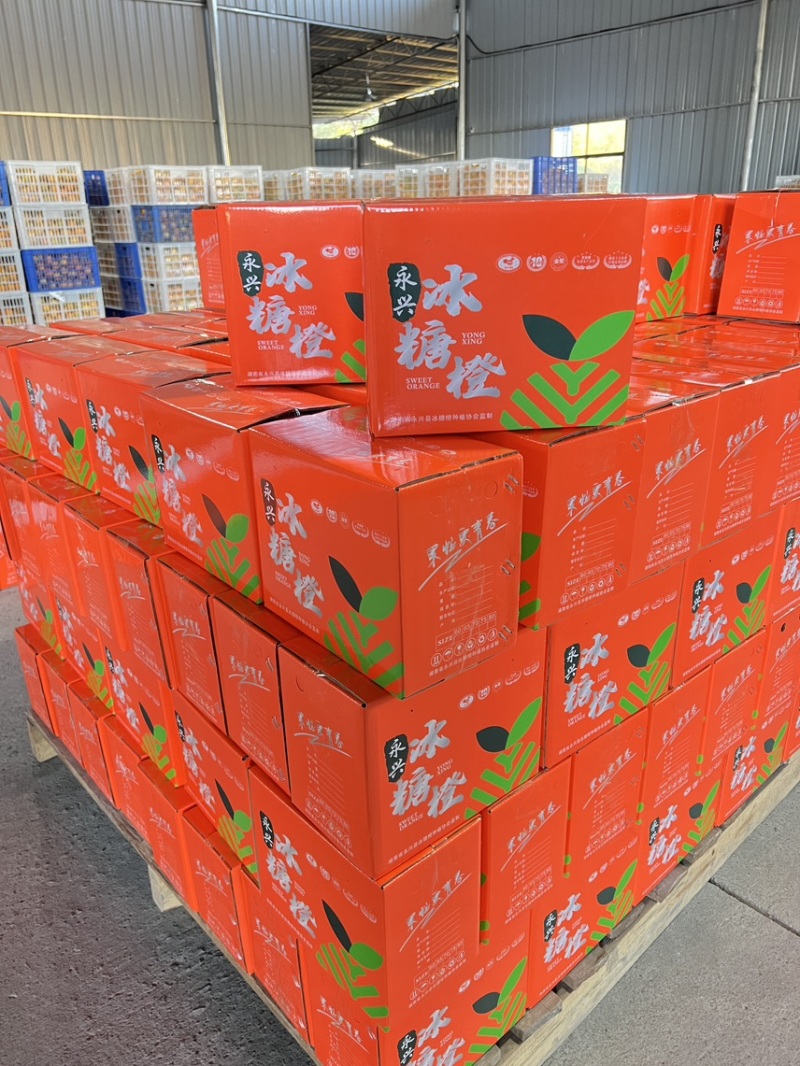 永兴冰糖橙