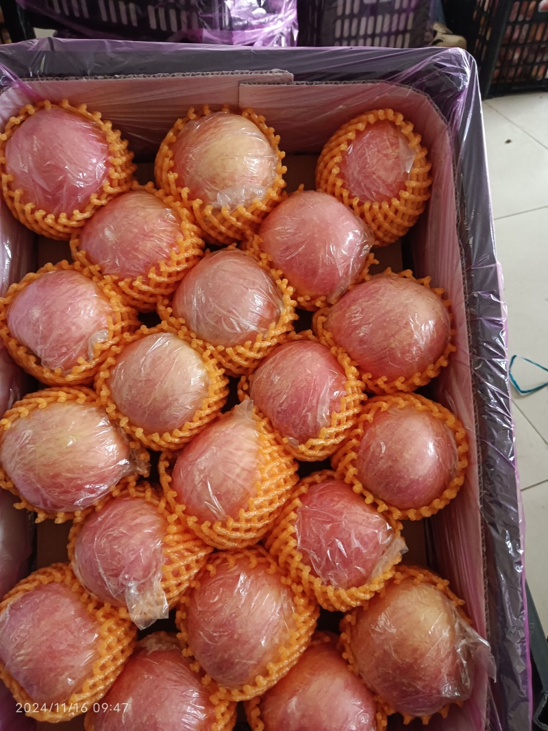 万荣纸加膜富士，香甜可口，皮薄肉厚，产地直发