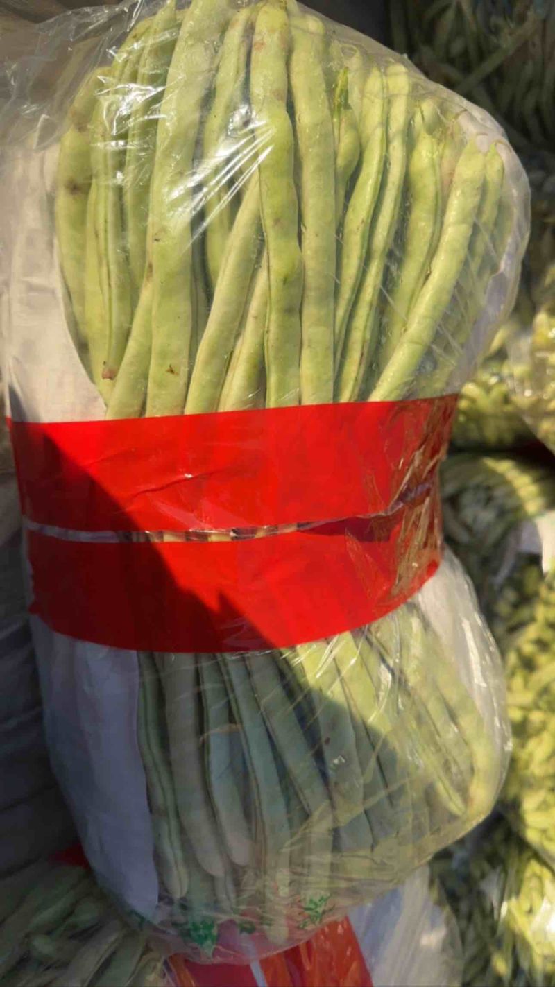 河北邯郸南大堡蔬菜市场，精品豆王，量大价优