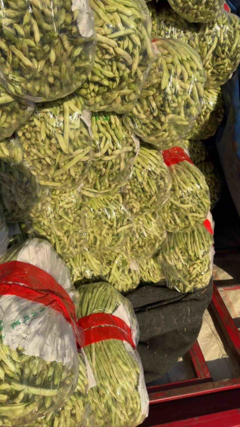 河北邯郸南大堡蔬菜市场，精品豆王，量大价优