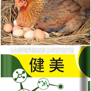 鸡鸭鹅猪牛羊饲料添加剂-调节肠道，提高免疫力育肥增蛋量