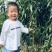 锦绣黄桃树苗