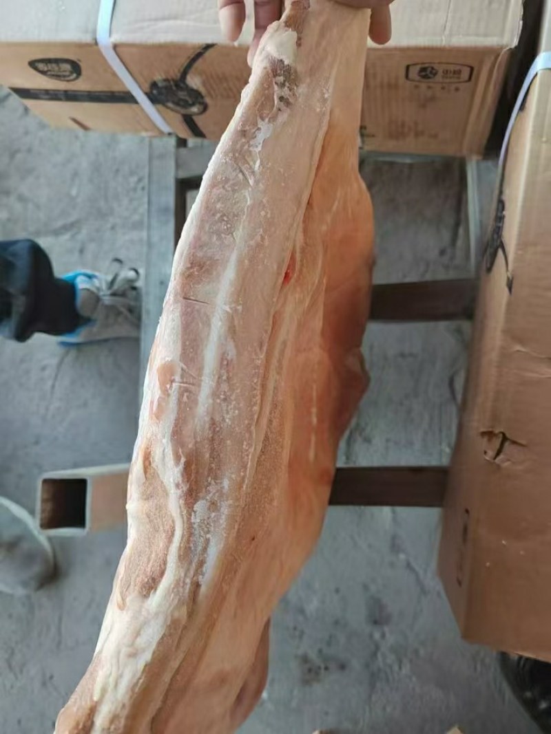 中粮带皮前上肉，25kg，6片左右，临沂提，有4吨，，，