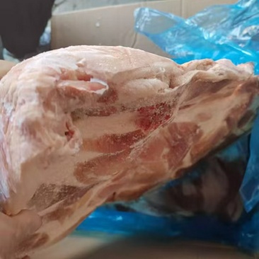 中粮带皮前上肉，25kg，6片左右，临沂提，有4吨，，，