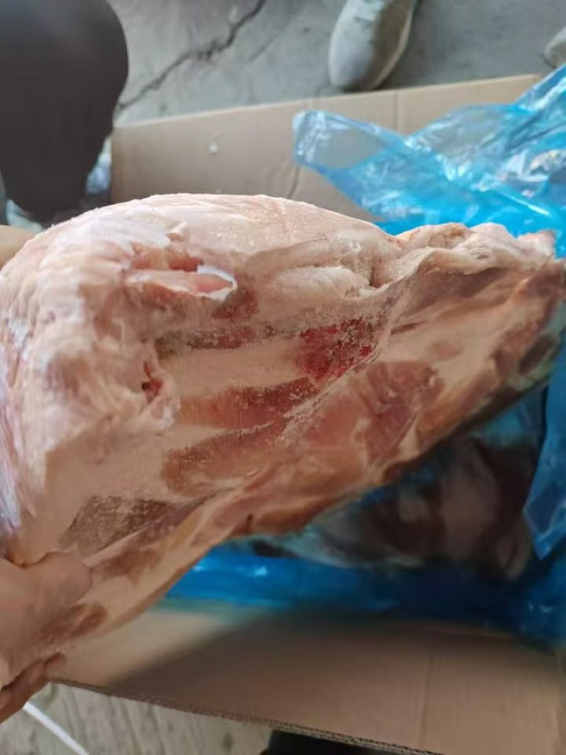 中粮带皮前上肉，25kg，6片左右，临沂提，有4吨，，，