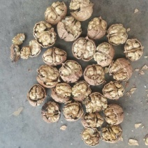 云南核桃、麻子核桃/品种齐、全欢迎来电价格优惠