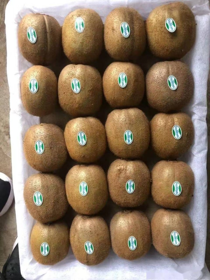 各种猕猴桃库存对外出售，价格合适欢迎抢购