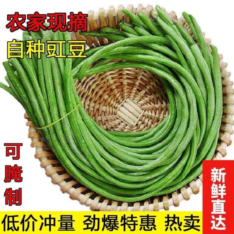 云南西双版纳长豆角