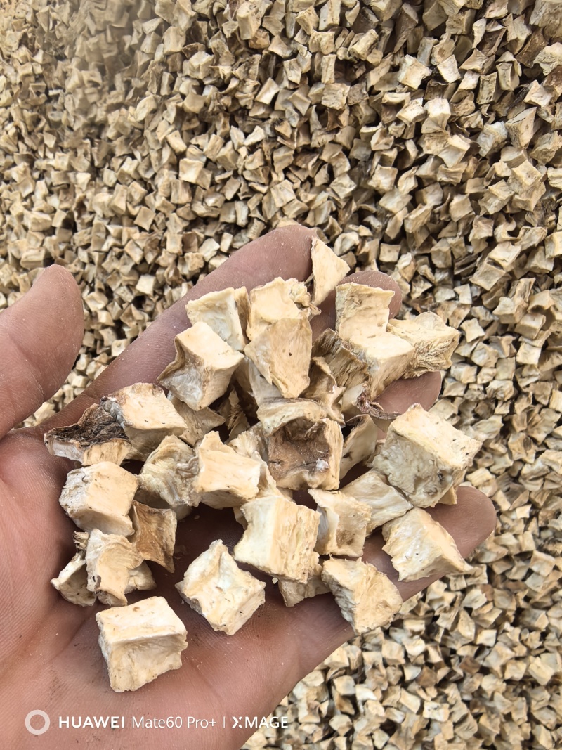 菊苣根，片，丁