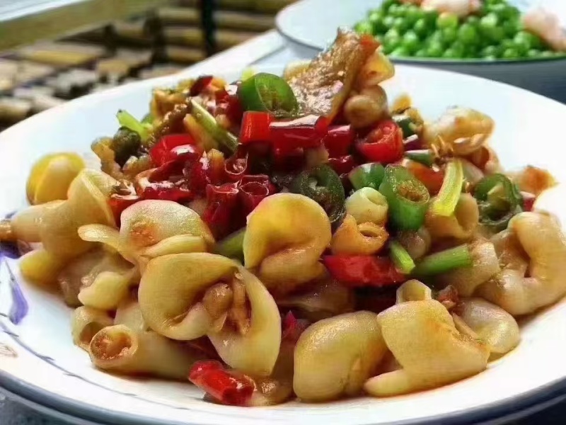 巴沙肚