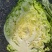 牛心包菜，基地直供，量大从优