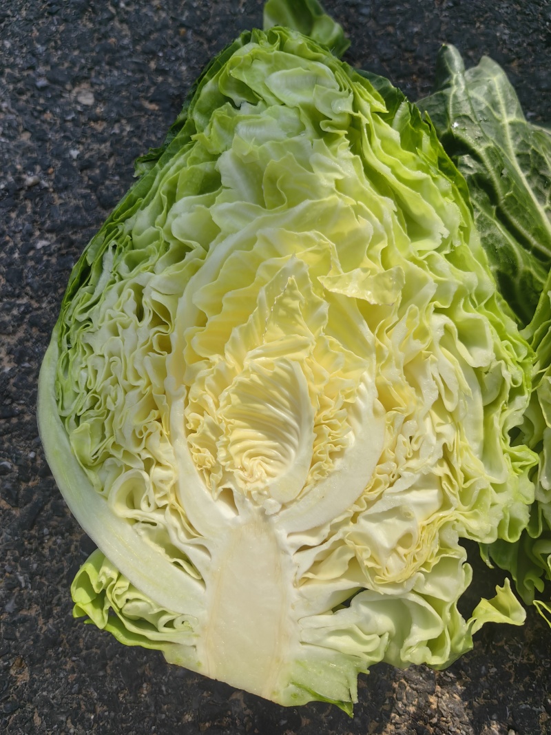 牛心包菜，基地直供，量大从优