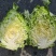 牛心包菜，基地直供，量大从优