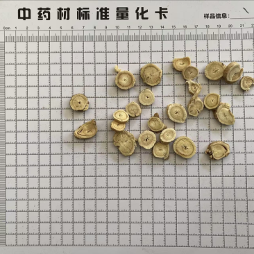 黄芪圆片