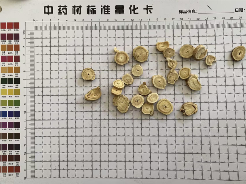 黄芪圆片