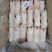 调理小猪蹄，30-40个