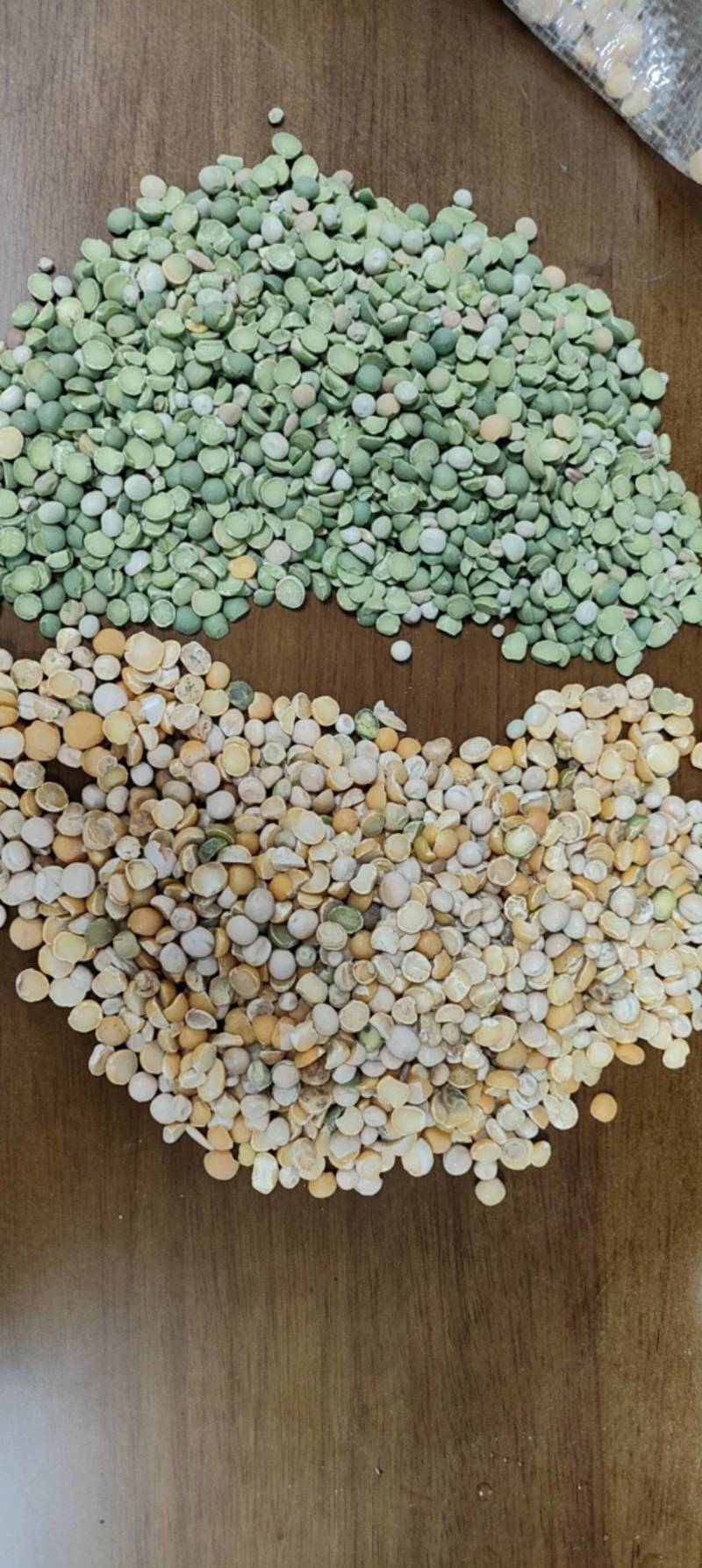 广东豌豆碎，量大优惠，全国发货，欢迎来电详谈。