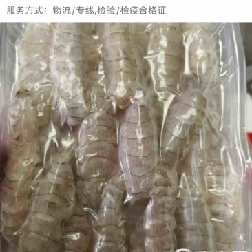 渤海湾纯手工皮皮虾肉单冻真空包装可少量走货
