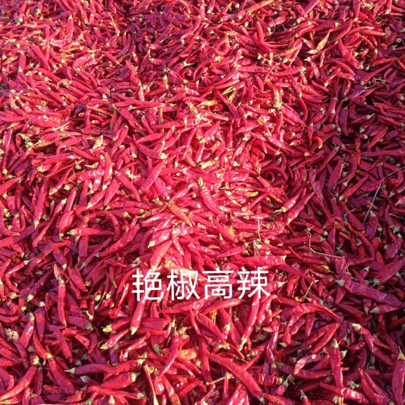 新疆干辣椒大量供应艳椒朝天椒满天星欢迎联系下单