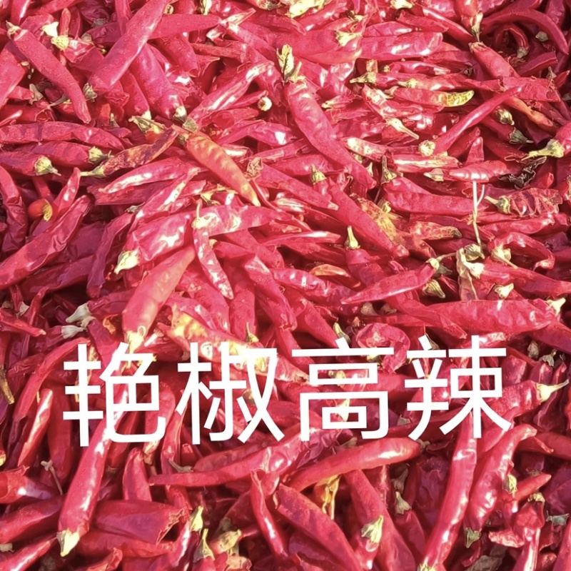 新疆干辣椒大量供应艳椒朝天椒满天星欢迎联系下单