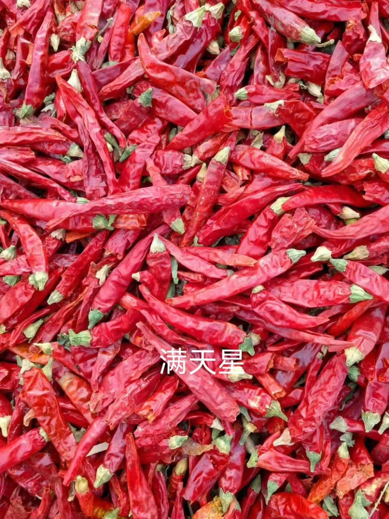 新疆干辣椒朝天椒艳椒对接全国质量保证欢迎咨询